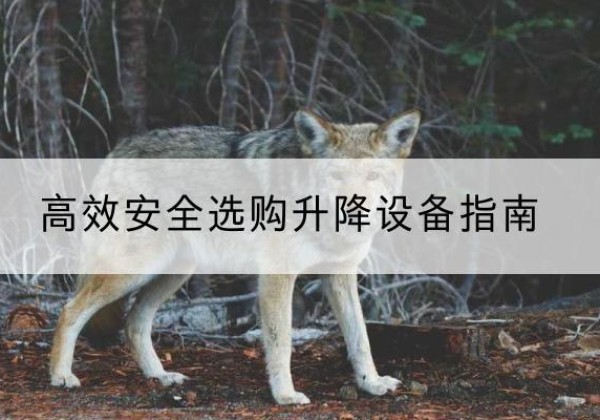 上思升降货梯厂家推荐-*安全选购升降设备指南