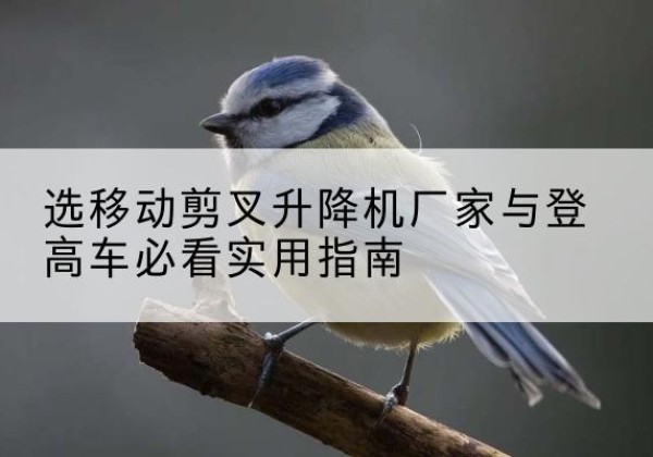 上思电动升降机厂家-选移动剪叉升降机厂家与登高车必看实用指南