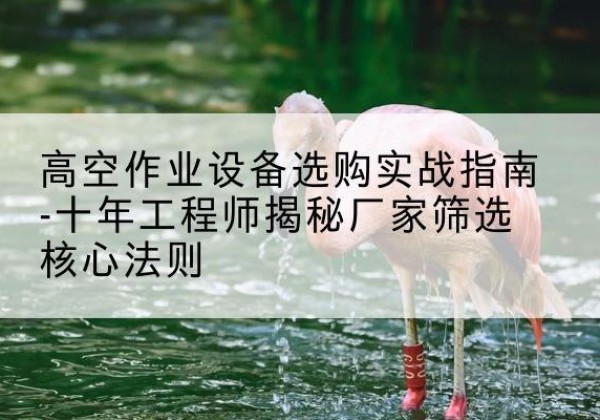 上思剪叉式升降机厂家-高空作业设备选购实战指南-十年工程师揭秘厂家筛选核心法则